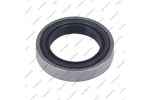 Сальник гидротрансформатора (17x25x5.0)