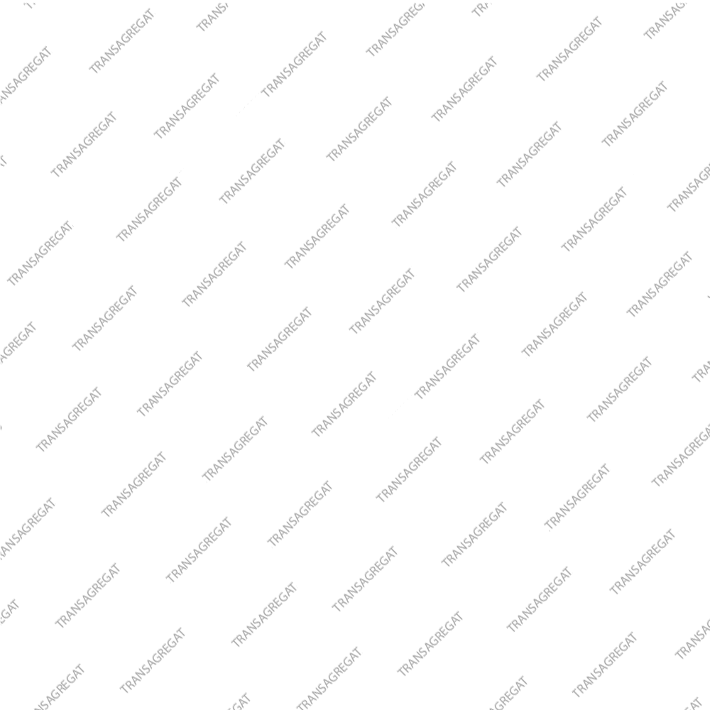 Обгонная муфта (45x58x23.0) передняя (тип 2, 2006-up, 20 сегментов, с обоймами)