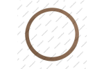 Фрикционное кольцо гидротрансформатора (273x232x1.7)